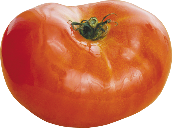 Tomato PNG Free Download 29