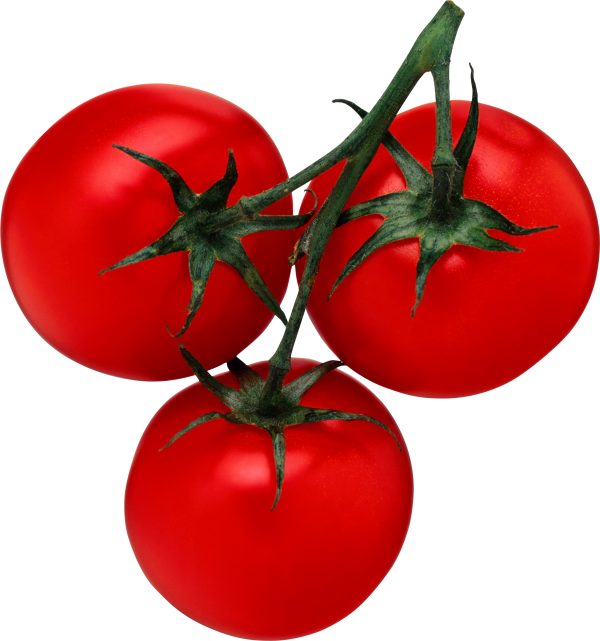 Tomato PNG Free Download 31