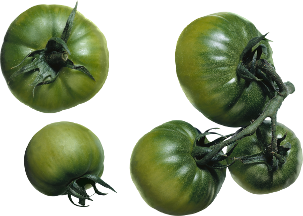 Tomato PNG Free Download 36