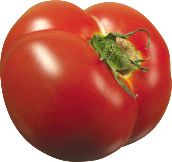 Tomato PNG Free Download 38