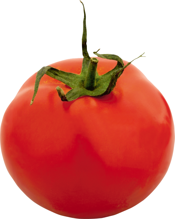 Tomato PNG Free Download 4