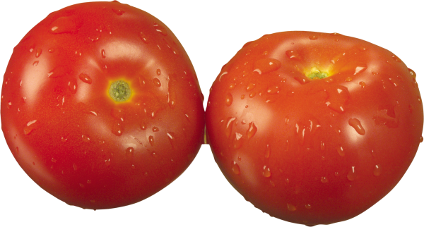Tomato PNG Free Download 41