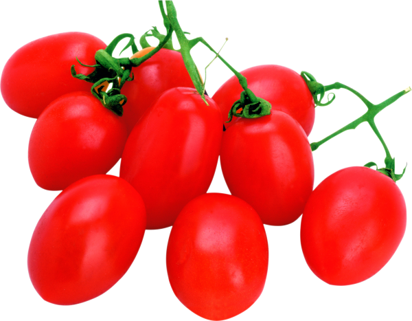 Tomato PNG Free Download 43