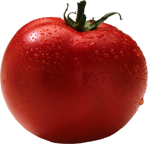 Tomato PNG Free Download 45