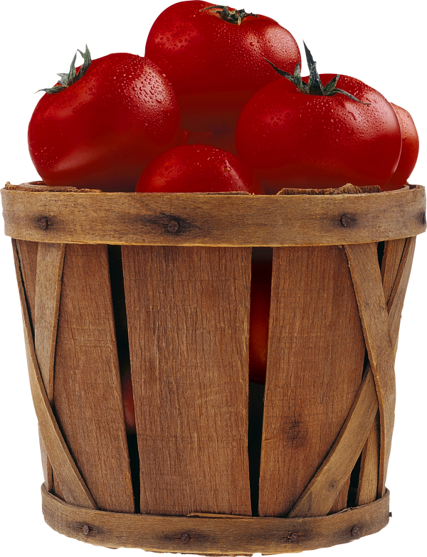 Tomato PNG Free Download 47