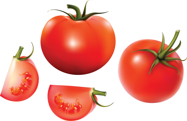Tomato PNG Free Download 49