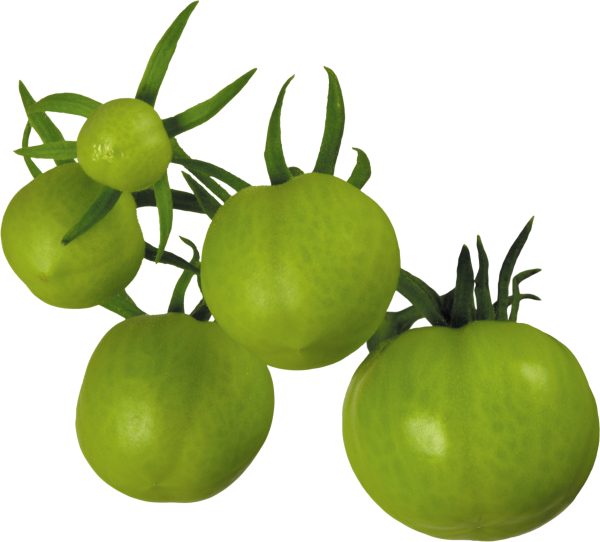 Tomato PNG Free Download 5