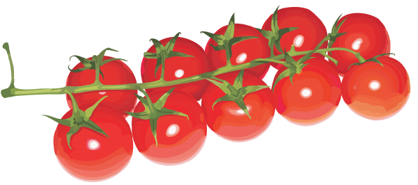 Tomato PNG Free Download 50