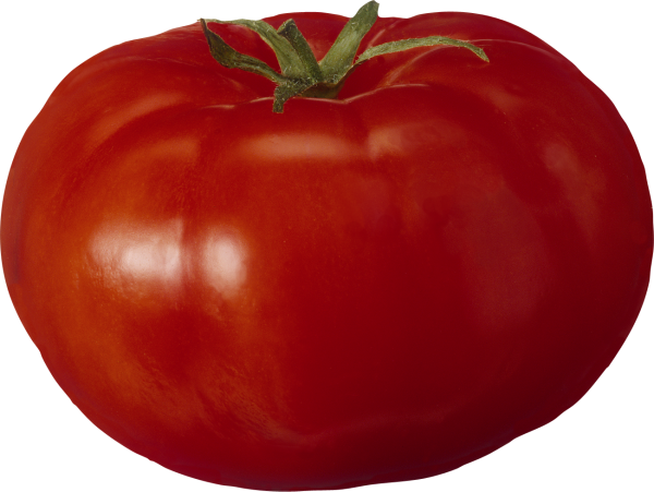 Tomato PNG Free Download 55