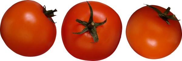 Tomato PNG Free Download 56