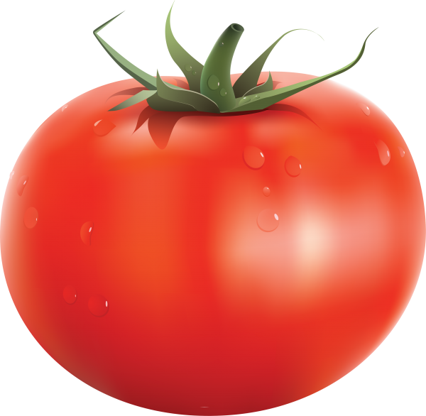 Tomato PNG Free Download 58