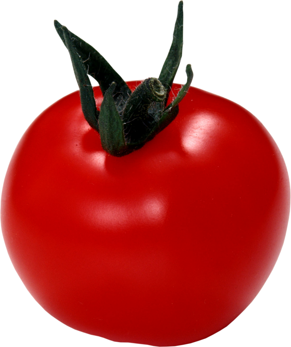 Tomato PNG Free Download 59