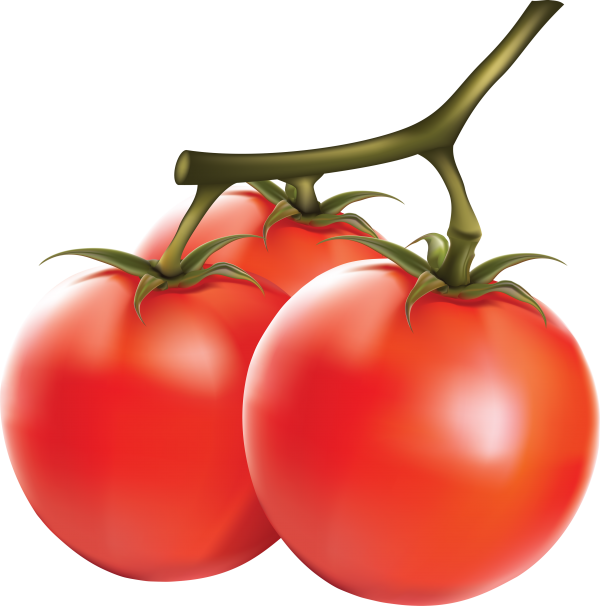 Tomato PNG Free Download 6