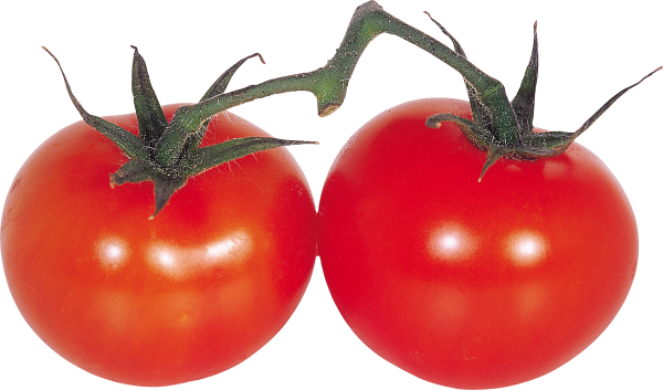 Tomato PNG Free Download 63