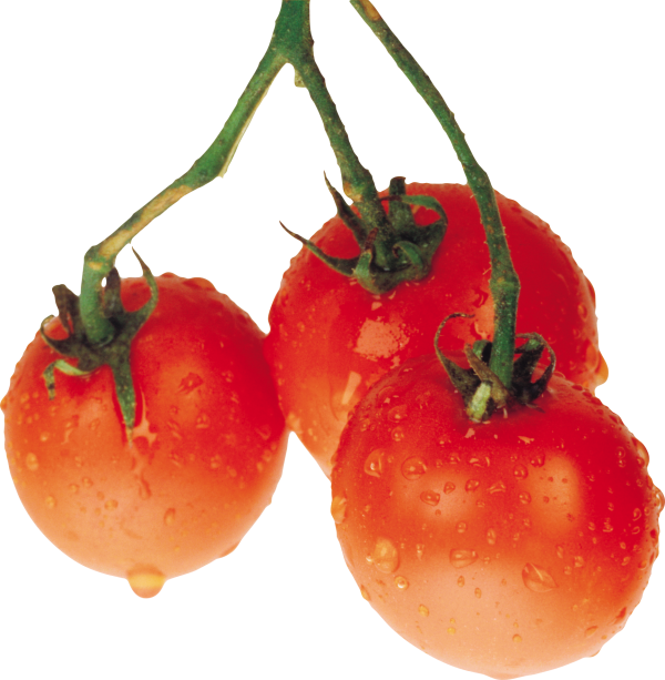 Tomato PNG Free Download 68