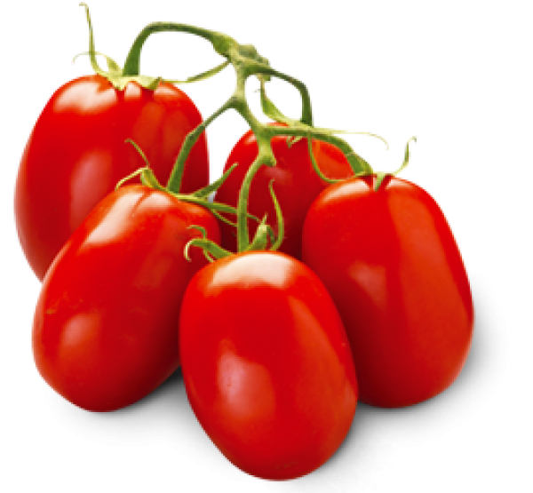 Tomato PNG Free Download 72