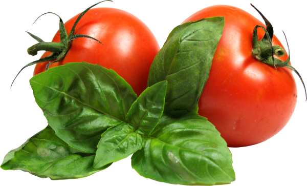 Tomato PNG Free Download 76