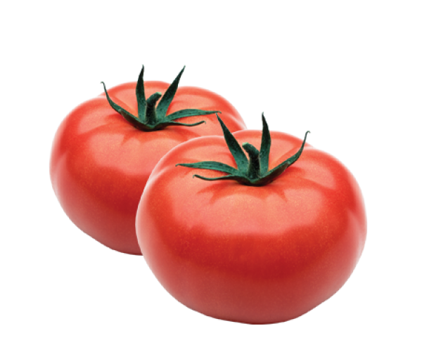 Tomato PNG Free Download 77