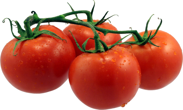 Tomato PNG Free Download 80