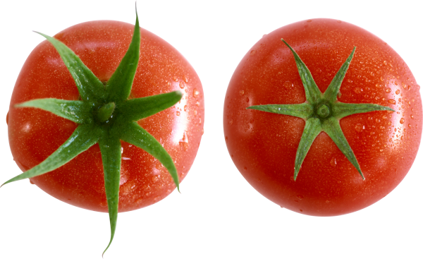 Tomato PNG Free Download 9