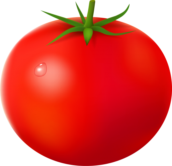 Tomato PNG Free Download 90