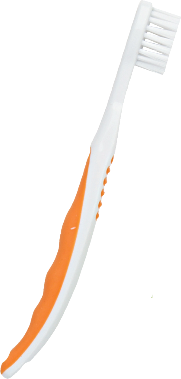 Tooth Brush PNG Free Download 25