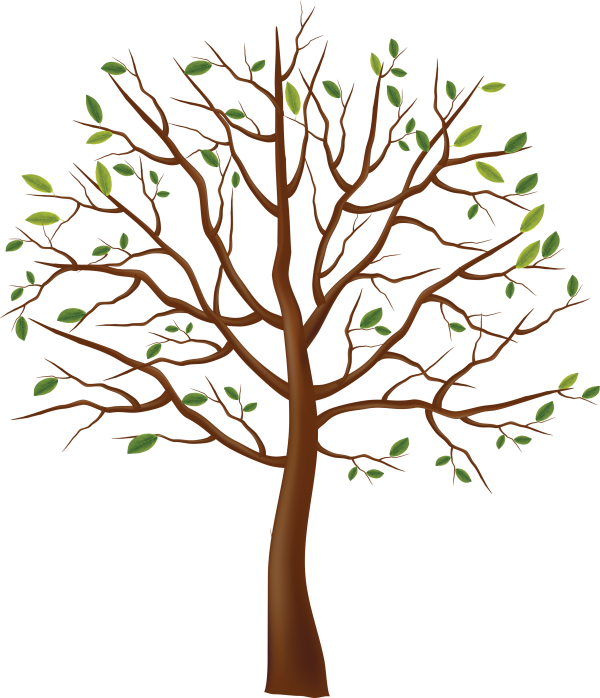 Tree Illustrator