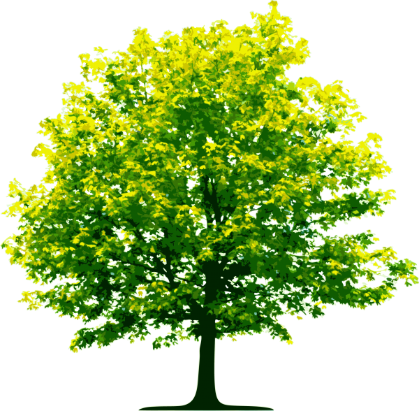 Tree Png Illustrator Png Images Download Tree Png Illustrator Pictures Download Tree Png Illustrator Png Vector Stock Images Free Png Download