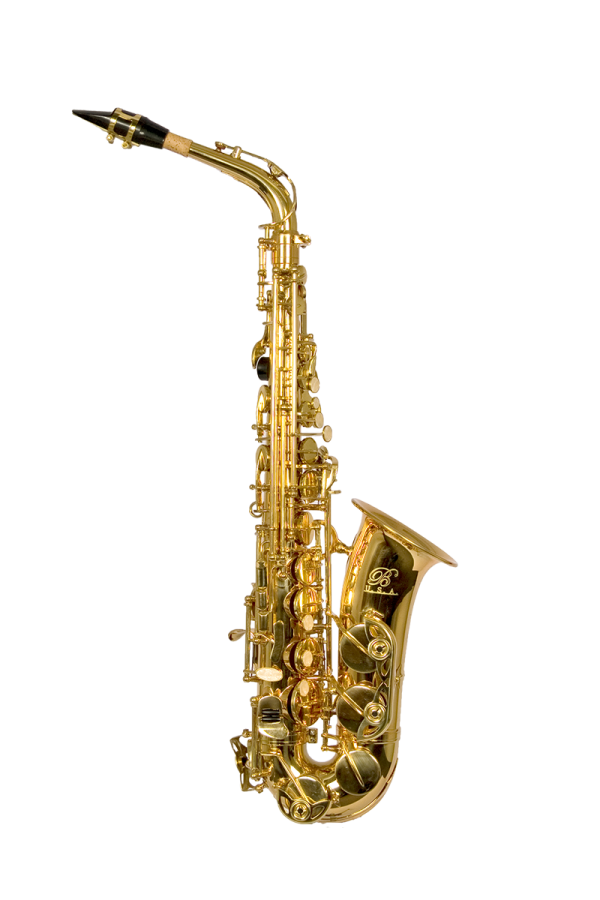 Trumpet PNG Free Download 24