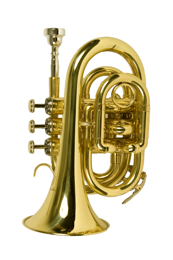 Trumpet PNG Free Download 25