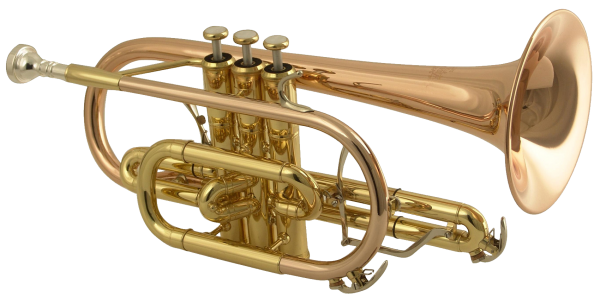 Trumpet PNG Free Download 46
