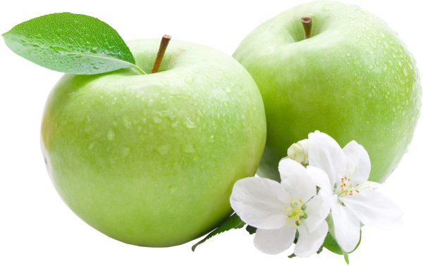 Two green Apple with Apple Flower and Leaves