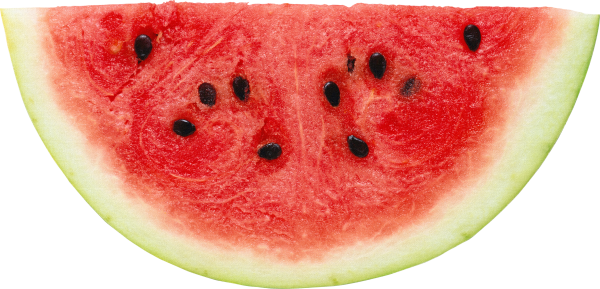 Watermelon PNG Free Download 1