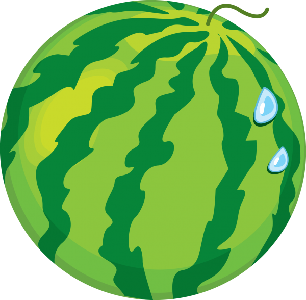 Watermelon PNG Free Download 16
