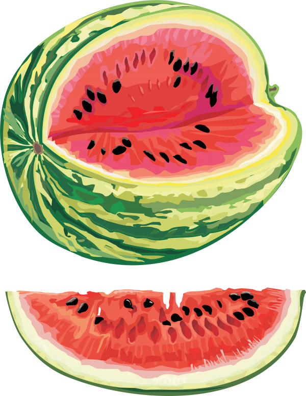 Watermelon PNG Free Download 17