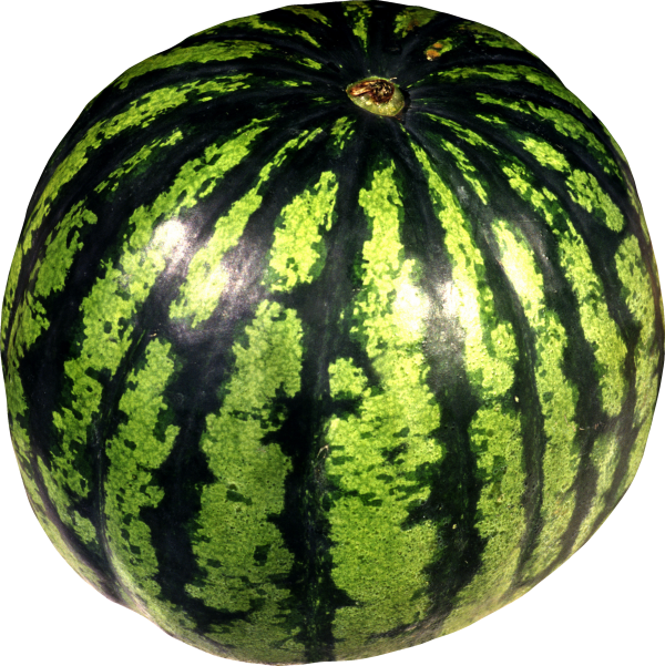 Watermelon PNG Free Download 19