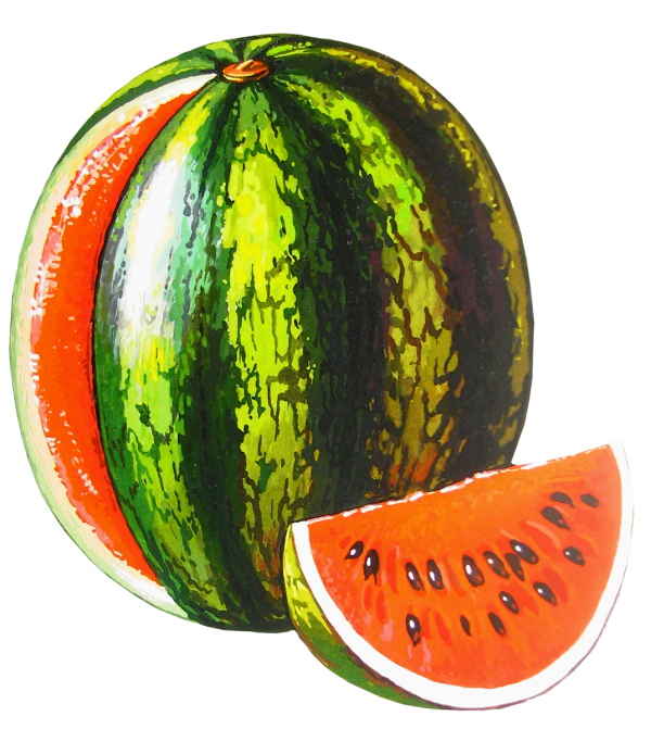 Watermelon PNG Free Download 21