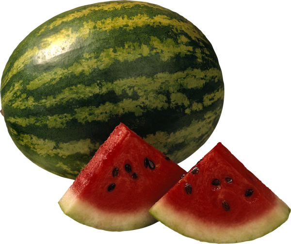Watermelon PNG Free Download 24