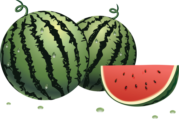 Watermelon PNG Free Download 26