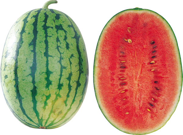 Watermelon PNG Free Download 29