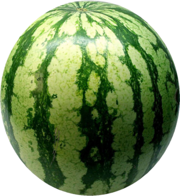 Watermelon PNG Free Download 3