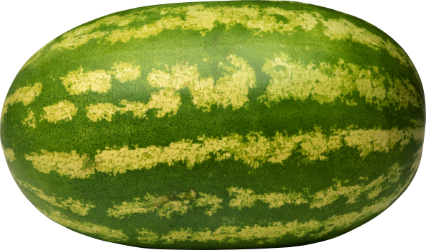 Watermelon PNG Free Download 30