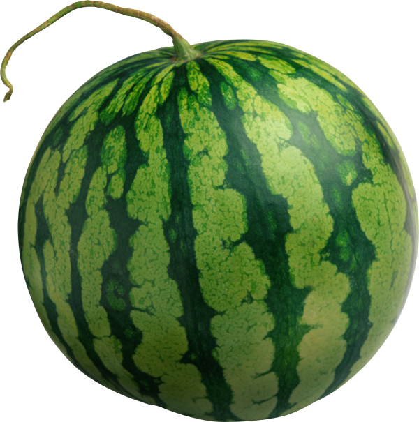 Watermelon PNG Free Download 7