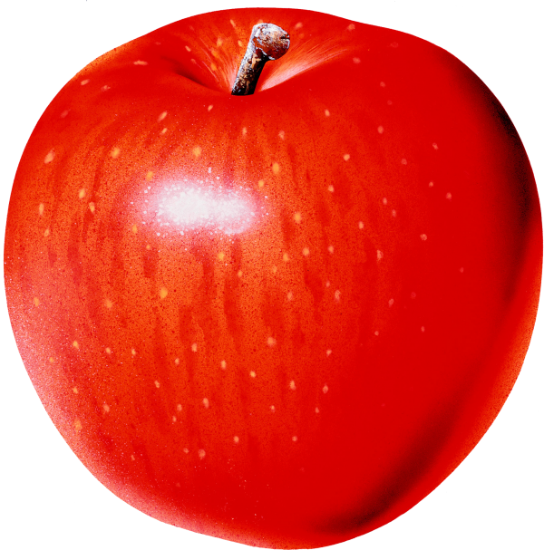 Waxed Apple Png Image