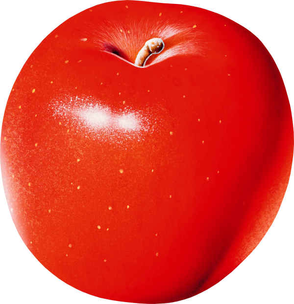 Waxed Apple Png