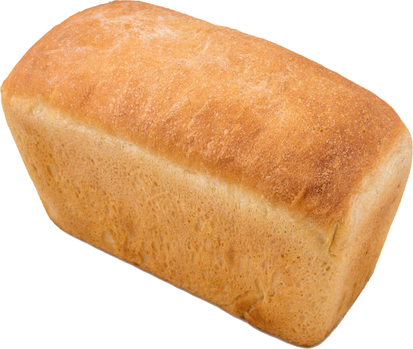 well baked full breed  free png download