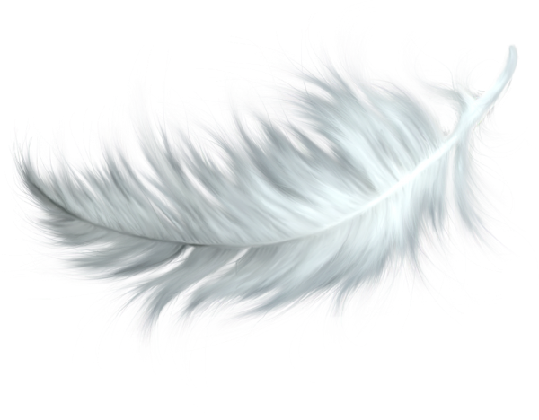 White Feather Png Download