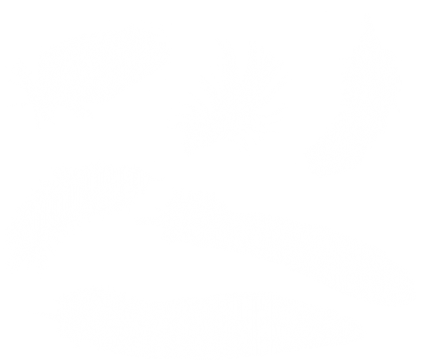 White Feathers Png Download