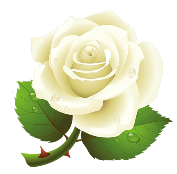 White Roses PNG Free Download 1