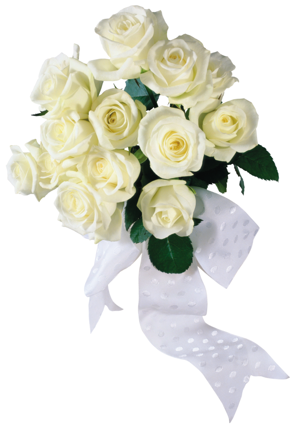 White Roses PNG Free Download 15